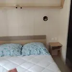 Camping Mobil